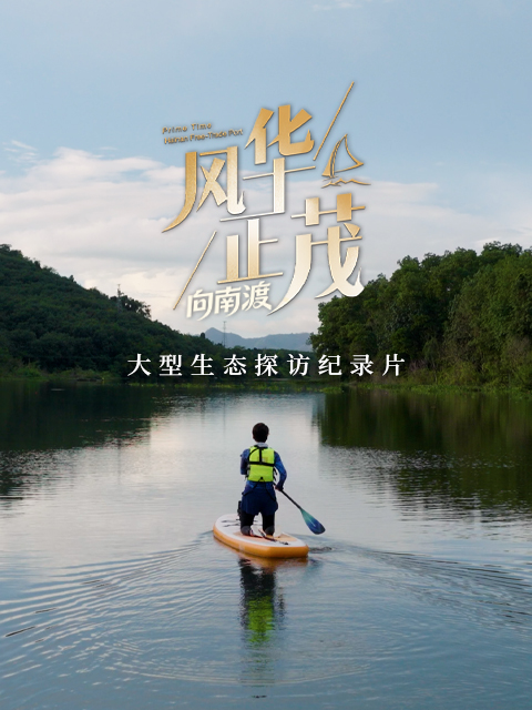 风华正茂 第三季