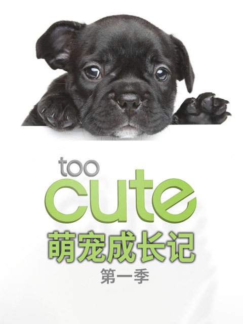 萌宠成长记 第一季（中配版）