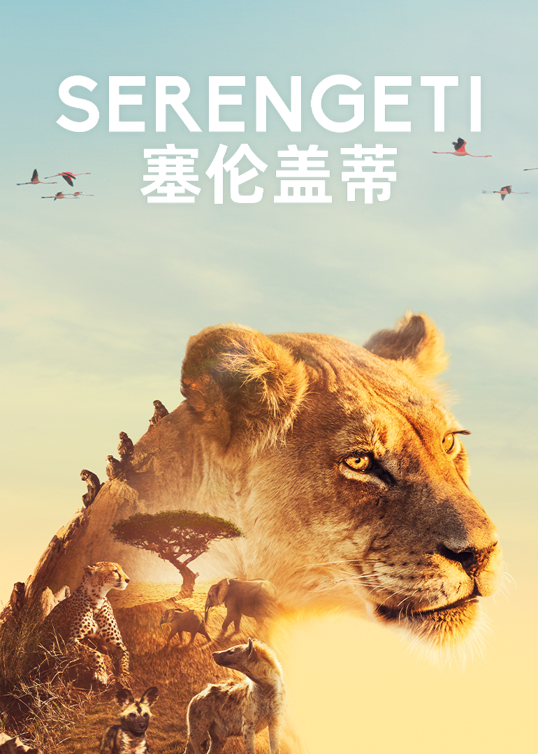 塞伦盖蒂 第1季