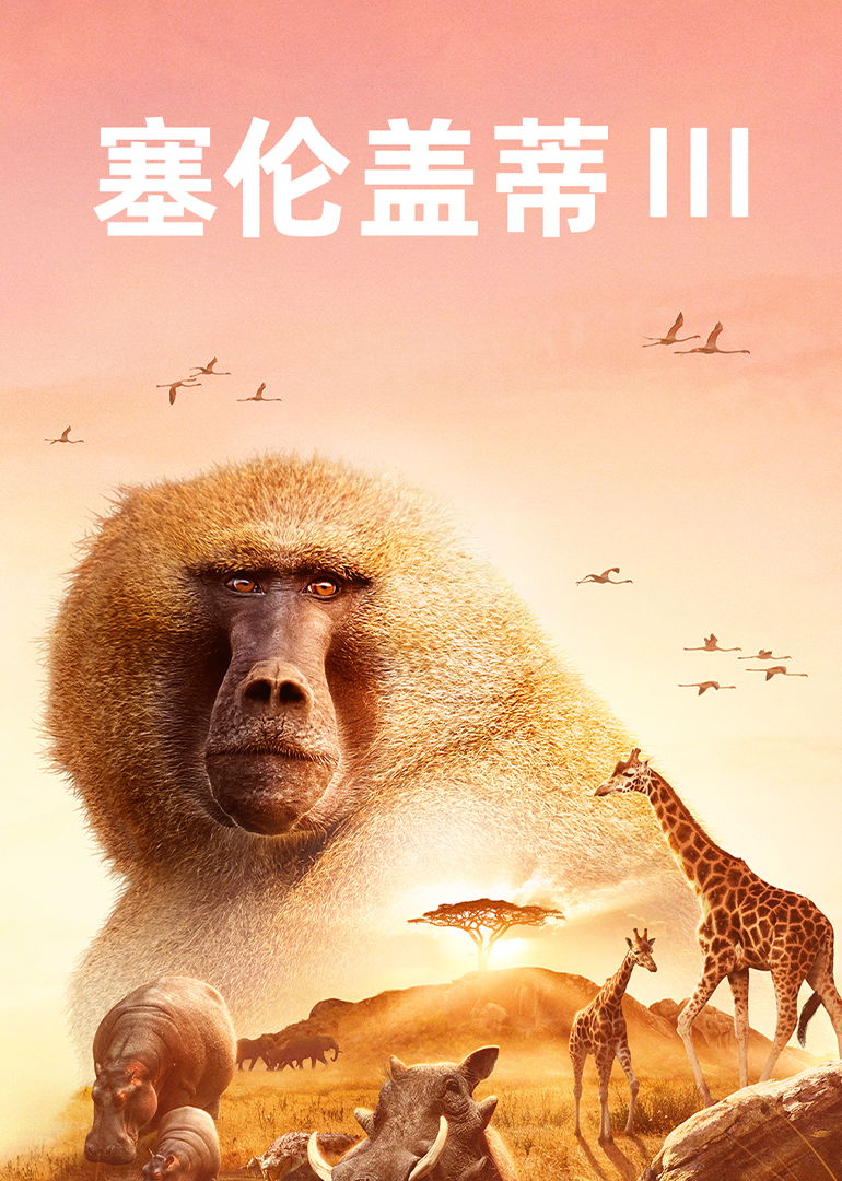 塞伦盖蒂 第3季