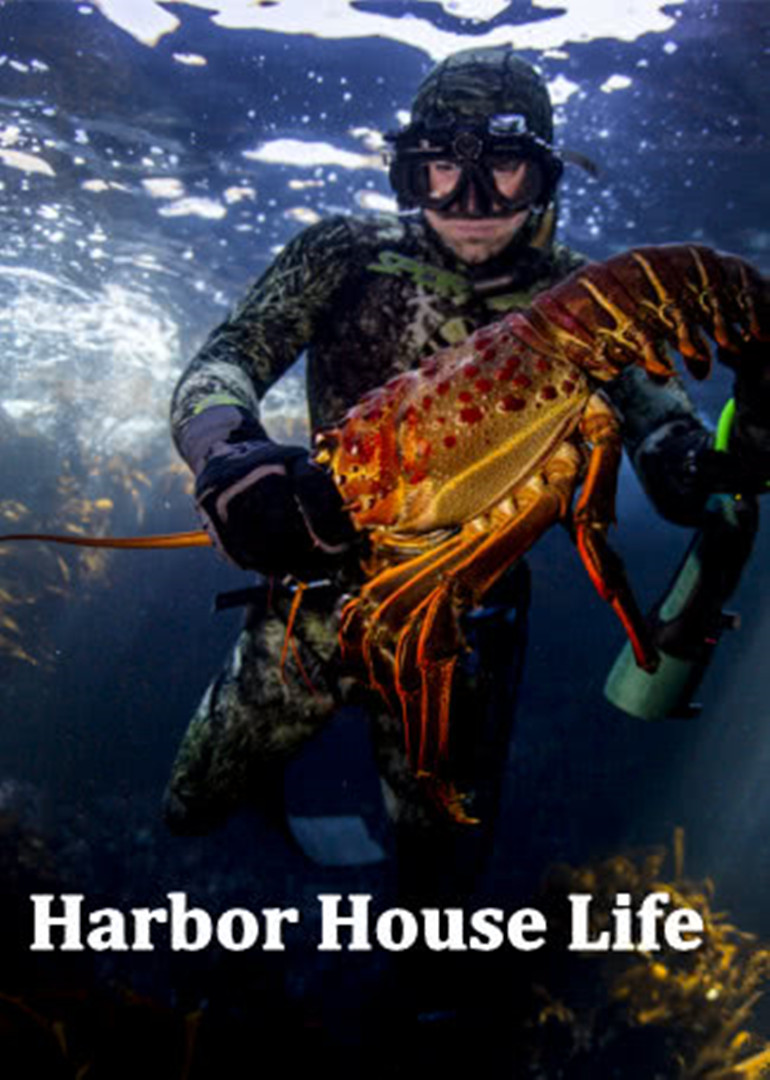 Harbor House Life2016