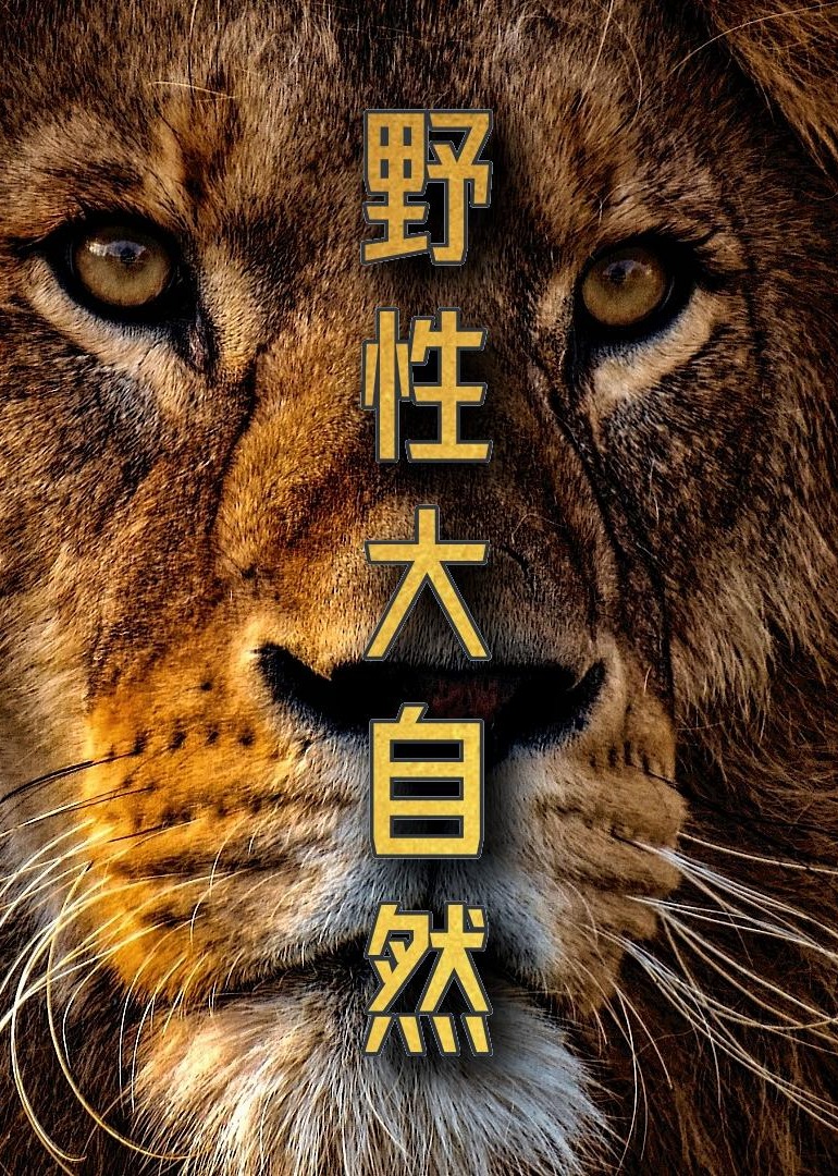 野性大自然 Wild nature