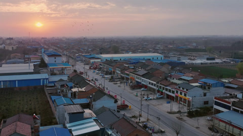 第1集 收购猕猴桃