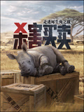 杀害买卖：带你走进犀牛角之战