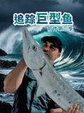 追踪巨型鱼前传第三季