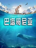 巴塔哥尼亚