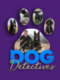 小狗侦探